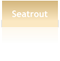 Seatrout